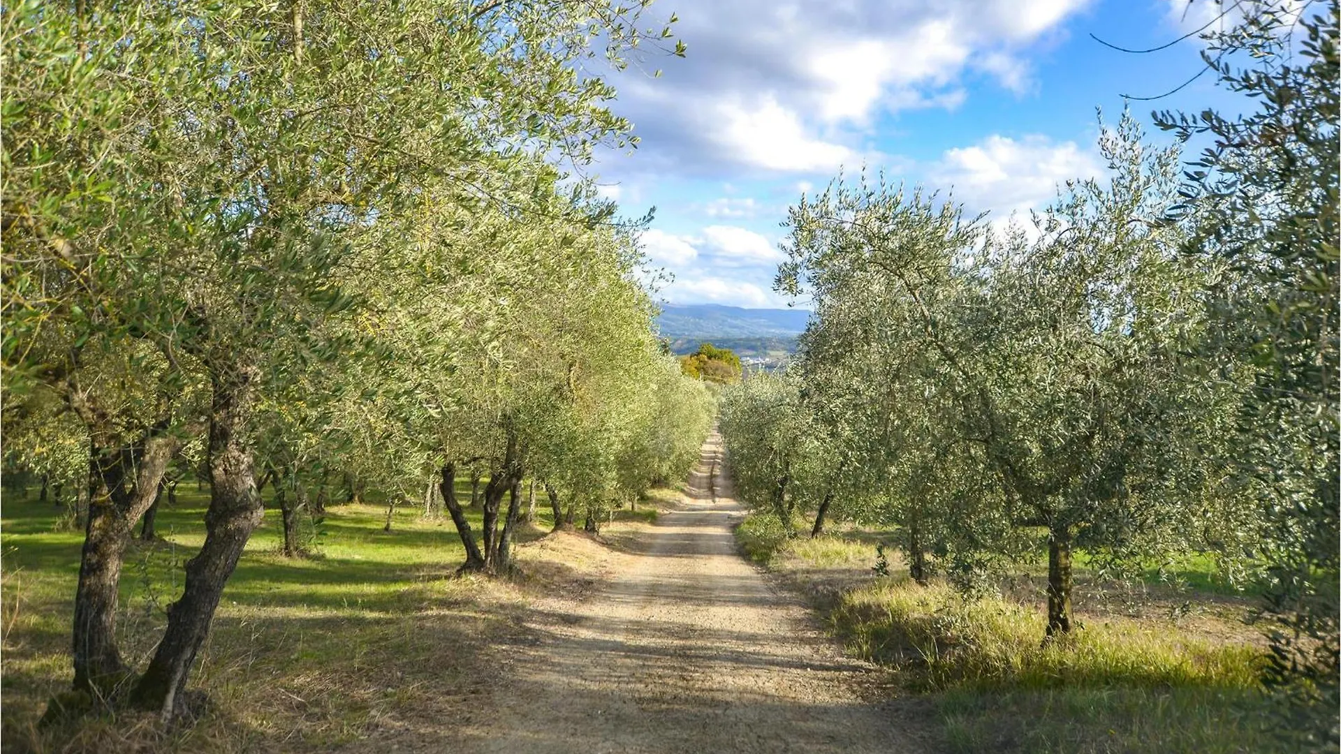 Amazing Apartment In Rignano Sullarno Rignano sullʼArno Italien